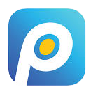 Partner 7